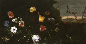 Flowers and Frogs